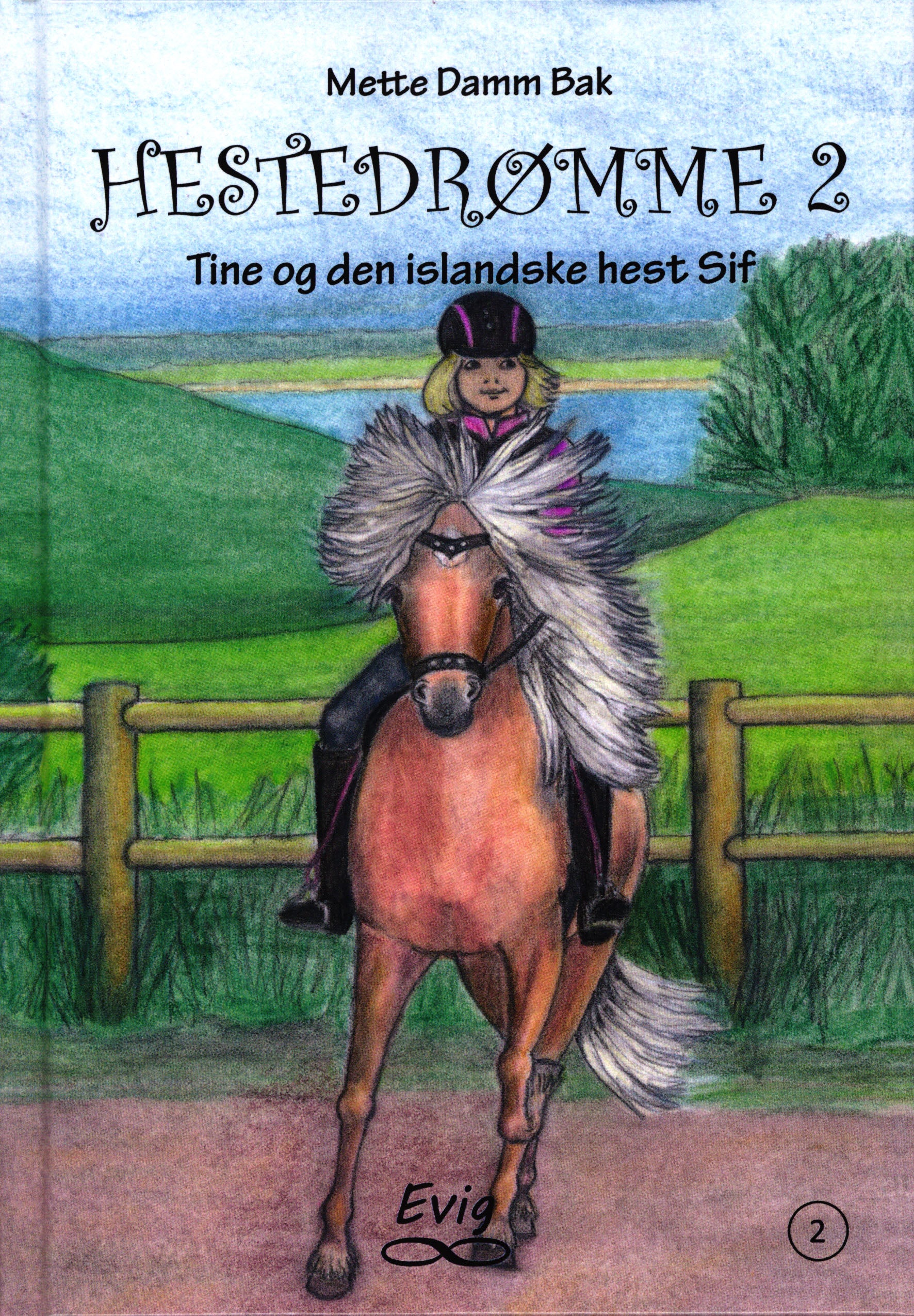 Forside billede